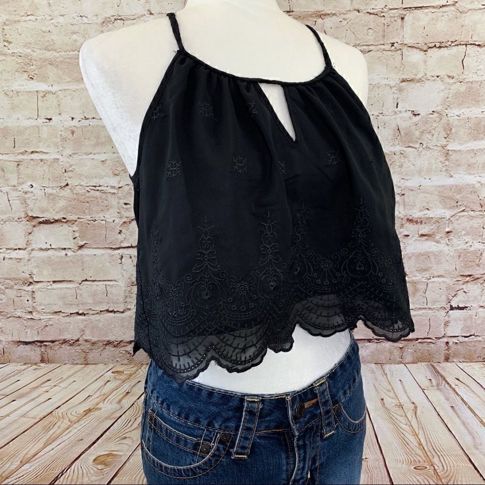 Tobi sleeveless embroidered cropped blouse